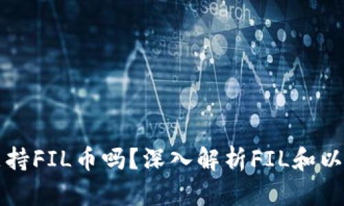 以太坊钱包支持FIL币吗？深入解析FIL和以太坊的兼容性