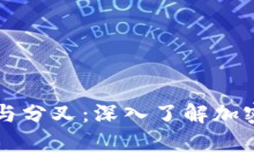 比特币钱包与分叉：深入了解加密货币的未来