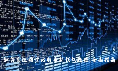 如何高效同步比特币新钱包数据：全面指南
