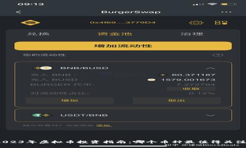 2023年虚拟币投资指南：哪个币种最值得关注？