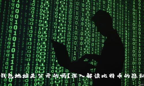 比特币钱包地址是公开的吗？深入解读比特币的隐私与安全