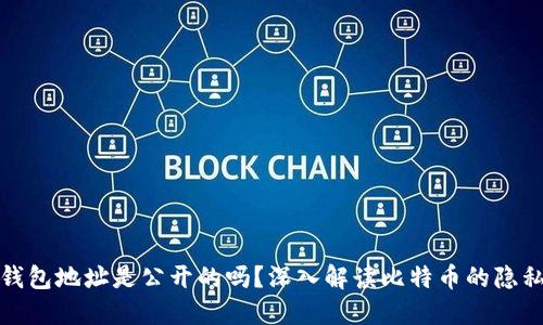 比特币钱包地址是公开的吗？深入解读比特币的隐私与安全