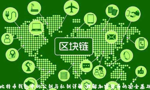 
比特币钱包中的公钥与私钥详解：理解加密货币的安全基础