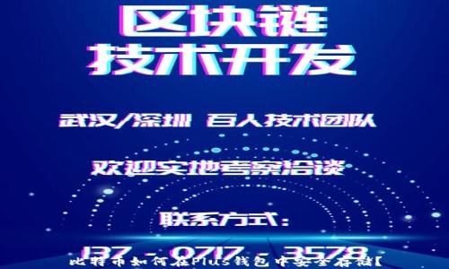 
比特币如何在Plus钱包中安全存储？