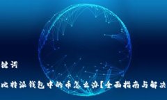 和关键词丢失比特派钱包中的币怎么办？全面指