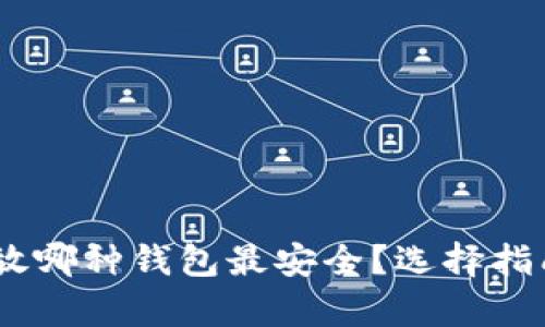 USDT存放哪种钱包最安全？选择指南与推荐