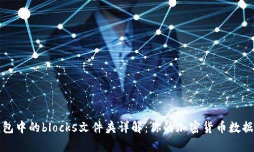 比特币钱包中的blocks文件夹详解：你的加密货币数据存储中心