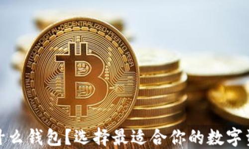 
炒虚拟币用什么钱包？选择最适合你的数字资产管理工具