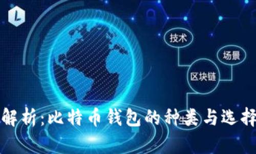 全面解析：比特币钱包的种类与选择指南