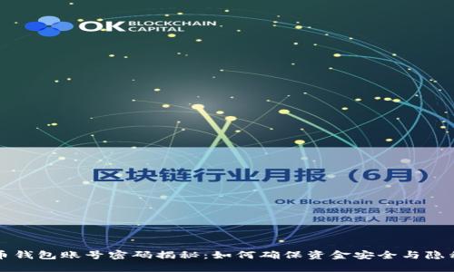 比特币钱包账号密码揭秘：如何确保资金安全与隐私保护