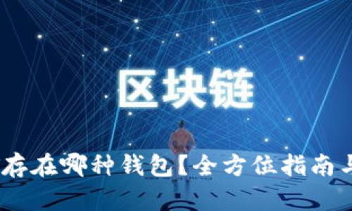 USDT存在哪种钱包？全方位指南与推荐