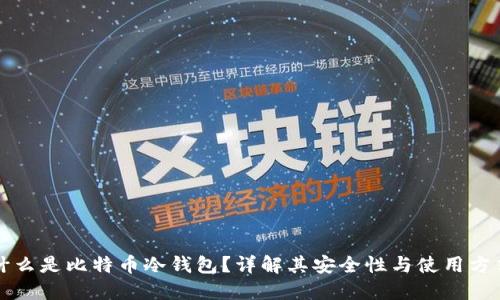 什么是比特币冷钱包？详解其安全性与使用方式