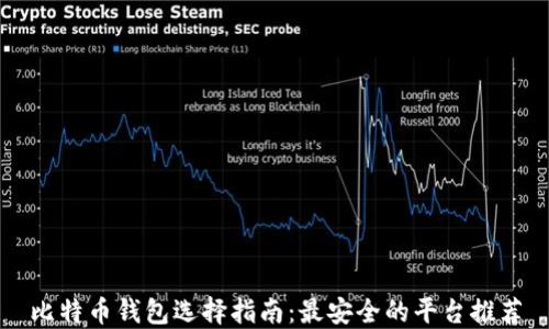 
比特币钱包选择指南：最安全的平台推荐