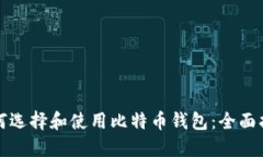 如何选择和使用比特币钱包：全面指南