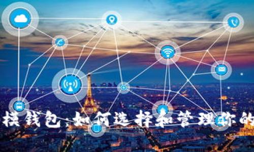 比特币规模钱包：如何选择和管理你的数字资产