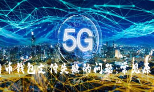 如何解决比特币钱包支付失败的问题：常见原因与解决方法