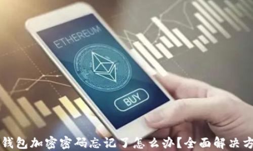 
以太坊钱包加密密码忘记了怎么办？全面解决方案指南