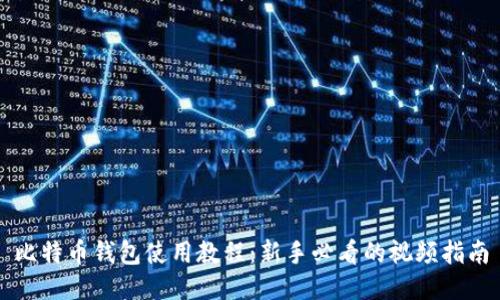 比特币钱包使用教程：新手必看的视频指南
