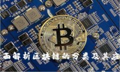 全面解析区块链的分类及其应用