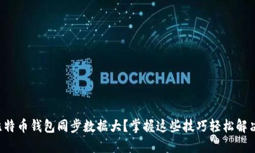 比特币钱包同步数据大？掌握这些技巧轻松解决！