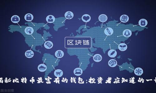 揭秘比特币最富有的钱包：投资者应知道的一切