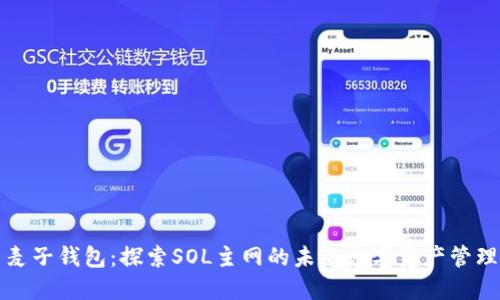 麦子钱包：探索SOL主网的未来数字资产管理
