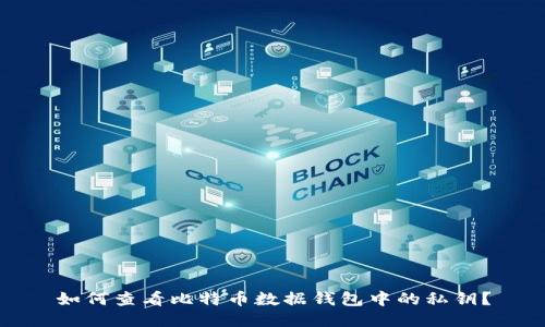 如何查看比特币数据钱包中的私钥？
