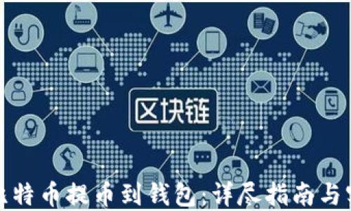
如何将比特币提币到钱包：详尽指南与实用技巧