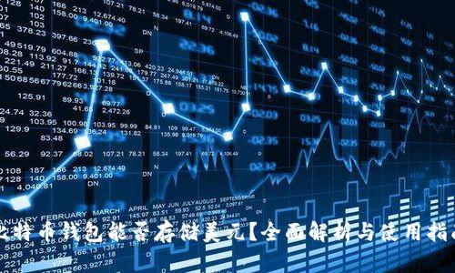 比特币钱包能否存储美元？全面解析与使用指南