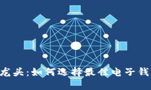 区块链电子钱包龙头：如何选择最佳电子钱包，保障资产安全