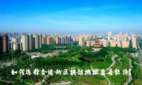 如何选择合适的区块链地址查看软件？