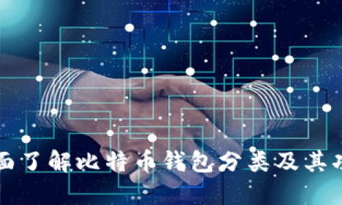 全面了解比特币钱包分类及其功能