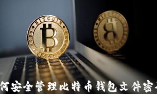 
如何安全管理比特币钱包文件密码？