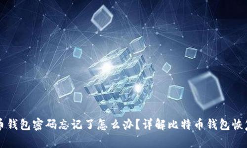 比特币钱包密码忘记了怎么办？详解比特币钱包恢复方法