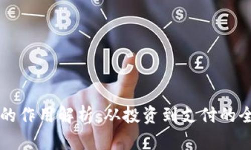 虚拟币的作用解析：从投资到支付的全面分析