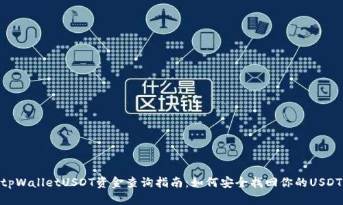 tpWalletUSDT资金查询指南：如何安全找回你的USDT
