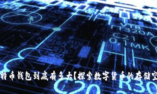 比特币钱包到底有多大？探索数字货币的存储空间
