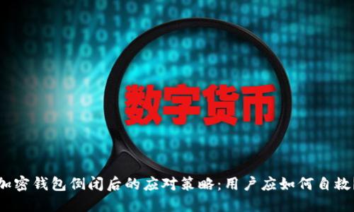 加密钱包倒闭后的应对策略：用户应如何自救？