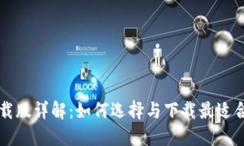 区块链钱包下载版详解：如何选择与下载最适合的区块链钱包