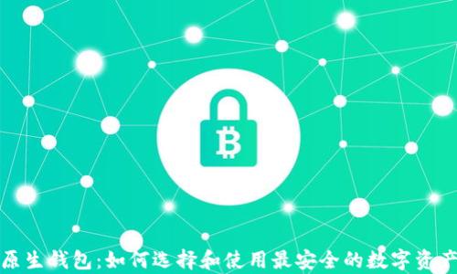 
加密货币原生钱包：如何选择和使用最安全的数字资产存储方式