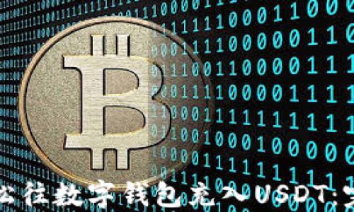 
如何轻松往数字钱包充入USDT：完整指南