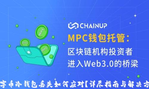 
数字币冷钱包丢失如何应对？详尽指南与解决方案