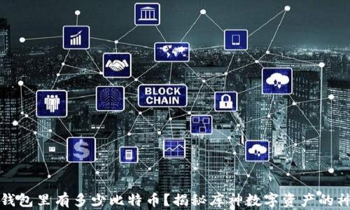 
库神的钱包里有多少比特币？揭秘库神数字资产的神秘面纱