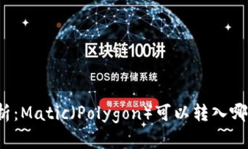 全面解析：Matic（Polygon）可以转入哪些钱包？