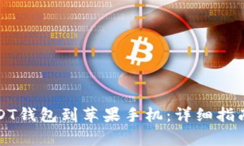 如何下载USDT钱包到苹果手机：详细指南及注意事项