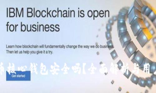 比特币核心钱包安全吗？全面解析与用户指南