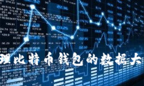 如何有效管理比特币钱包的数据大小：深入指南