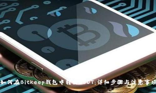 如何在BitKeep钱包中转出USDT：详细步骤与注意事项