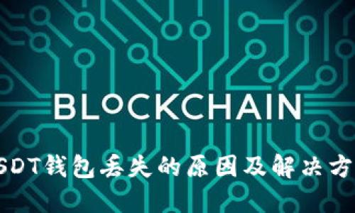 USDT钱包丢失的原因及解决方案