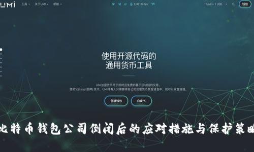 比特币钱包公司倒闭后的应对措施与保护策略
